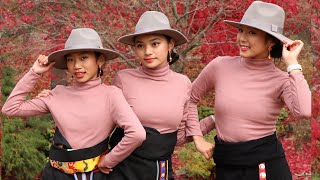 Tibetan Sisters: Tibetan Dance in Toronto 🇨🇦 དཀའ་མ་ཐལ་། Kamathaal