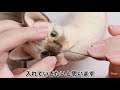 【羊毛フェルト猫】初心者ｻﾝも一緒に！手のひらサイズの猫作り🐾part 4お顔の植毛