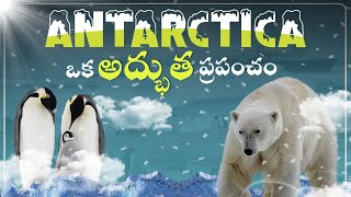 ANTARCTICA ఎన్నో రహస్యాలతో నిండి ఉన్న ప్రపంచం! Mystery Of Antarctica