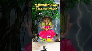 sooranikarai nagakanni amman | #sooranikarai #amman_stus_song #reels_new #nagakanni_kovil