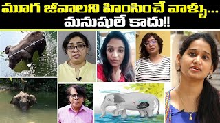 Elephant : మనిషి తన విలువ ని కోల్పోతున్న వేళ..#RIPHumanity | Oneindia Telugu