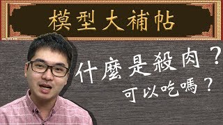 【模型大補帖】什麼是殺肉