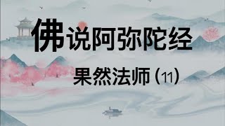 佛说阿弥陀经 玄中寺果然法师（11）