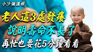 老人身上這3處「發癢」，說明壽命不長了！如果你一個都不占，活到100歲沒問題！#小沙彌講禪 #佛教 #佛法 #阿弥陀佛 #南無阿彌陀佛 #菩薩 #佛學 #佛陀 #福報