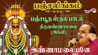 அண்ணாமலையனே - திருவண்ணாமலை | Annamalaiyane - Thiruvannamalai | Panchalingam | S P Balasubramaniyam