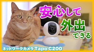 猫が留守番中に何してるか心配で見守りカメラを設置します TP-Link Tapo C200