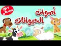 أنشودة أصوات الحيوانات للأطقال بدون موسيقى -  قناة طم طم