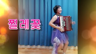 아코디언으로 트로트를 연주하는 아줌마 한춘화-찔레꽃