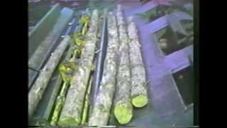 TS Mfg Twin Circular Sawmill