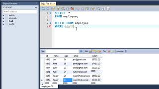 SQL Tutorial 22 The DELETE Query