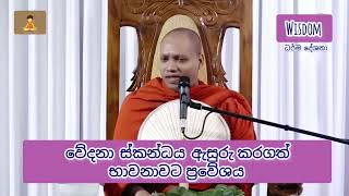 වේදනා ස්කන්ධය ඇසුරු කරගත් භාවනාවට ප්‍රවේශය ( පූජ්‍ය හසලක සීලවිමල හිමි )