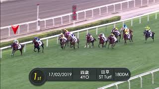 [2019 香港經典盃] 2019.02.17 四歲馬經典賽事系列1800米香港經典盃-「妙算達人」最後200米片段