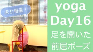 Day 16 | 背中は垂直に。足を開いた前屈ポーズ - YOGA 30 days Challenge-