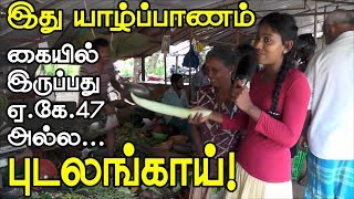 யாழ்ப்பாணத்தில் எப்படி இருக்கும் சந்தை? | கல்வியங்காடு | Kalviyankadu Jaffna | Vanakkam Thainadu