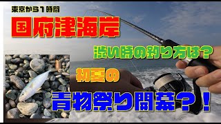 【 西湘サーフ 】国府津海岸 初夏の ワカシ 青物 祭り開幕？！渋い時の釣り方。