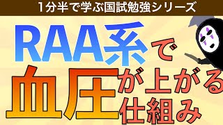 1分半で学ぶ国試勉強シリーズ「RAA系とは」レニンが血圧を上げる機序をわかりやすく解説！