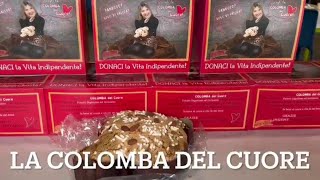 Padova, la colomba del cuore per aiutare i ragazzi di Vite Vere