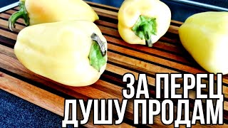 ОБОЖАЮ ЭТОТ ПЕРЕЦ ▶️ ВКУСНО ✅ ПРОСТО 💥ПРОВЕРЕНО