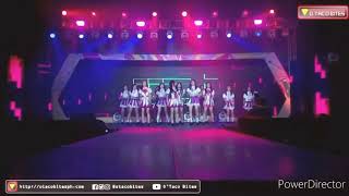 MNL48 - Labrador Retriever || Team MII