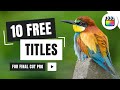 10 Free Minimal Titles and Lower Thirds for Final Cut Pro