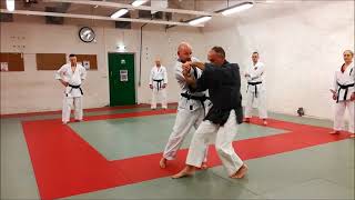 Seirenkai Master Steve Lisauskas - Finland Seminar Clips, Dec 2017