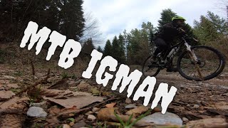 MTB Igman Felt Q620