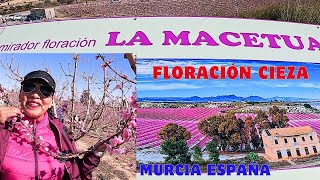 Espectáculo natural,Floración  de Cieza Murcia España  2025