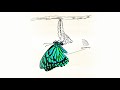 Kehlani - Butterfly (Audio)