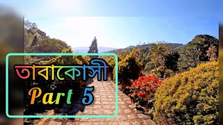 Tabakoshi part 5 | Darjeeling Offbeat | Mirik | Rangbang Tabakoshi Garden | @vumithefoodhunter