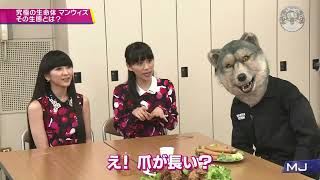 MAN WITH A MISSION - Memories (TV 20160208)