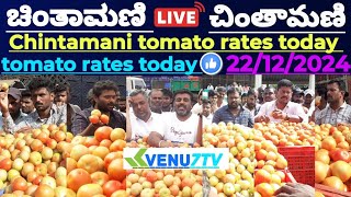 |Chintamani |today |22/12/2024 |today Tomato rates in Chintamani #Venu7tv #today #Chintamani #viral🍅