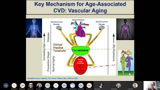 Kerrie L  Moreau - Exercise training for aging arteries: One sex does not fit all