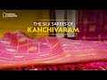 The Silk Sarees of Kanchivaram | It Happens Only in India | National Geographic