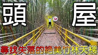 【冷門地區一日遊】苗栗深山居然有一座島？還有超漂亮的竹林天梯！照片隨便拍都超漂亮的啦！【冠哥】