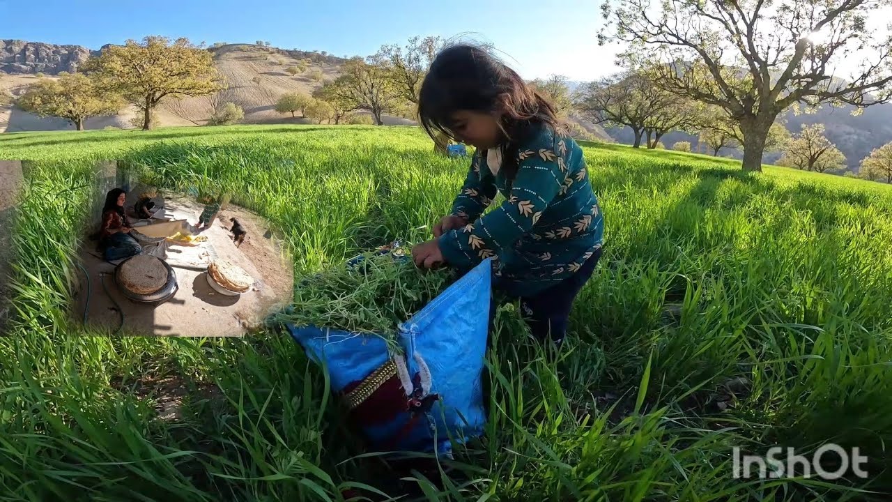 Village Life And Baking Local Bread 2023 Youtube