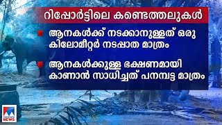 ‘ഗുരുവായൂർ ആനക്കോട്ടയിൽ ശുചിത്വം ഒട്ടുമില്ല’; അഭിഭാഷക കമ്മിഷന്റെ റിപ്പോര്‍ട്ട് | GuruvayurAnakotta