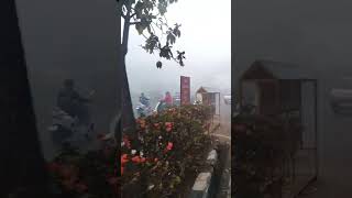 fog on a road #shortsfeed #viral #ytshorts #trending #views #cricket #nature#shorts #wwe#surat