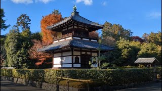 Shokoku-ji Temple Kyoto Japan 2024 Dec 18