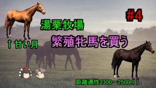 系統確立を目指す馬主生活 Part4 【ウイニングポスト９ 2022/ゆっくり実況】