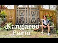 Kangaroo Farm 🦘|| Kelowna Bc Canada || Life in Canada || Mevrect Akoni