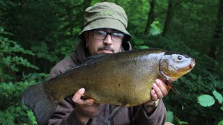 TENCH FISHING - 10lb+ BIG TENCH