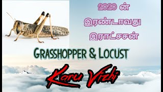 வெட்டுக்கிளிகள்-லோகஸ்ட் பற்றிய அறியப்படாத உண்மைகள் (Grasshopper \u0026 Locust)