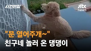 "문 열어주개~"…'똑똑' 노크하는 강아지 #글로벌픽 / JTBC 사건반장