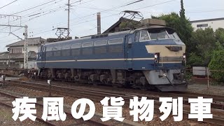 【貨物列車】疾風の貨物列車 全20本　今週は日中撮影の貨物列車　二ノ宮踏切と浜松市内で撮影の大迫力の貨物列車　Today's freight train