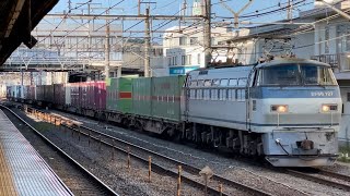 【ジョイント音最高！】JR貨物EF66形100番台127号機＋コキ23B（両）が大船駅を通過するシーン（66レ・吹A6・コンテナ輸送）2023.8.18