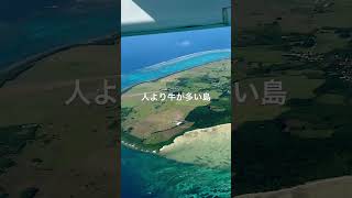 沖縄の離島・ハートアイランド【黒島】#沖縄 #shorts