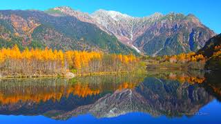 4K映像  絶景「秋 紅葉の上高地 大正池と穂高連峰Ⅱ」日本の美しい四季 長野県松本市 10月下旬 自然風景