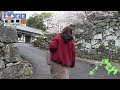 大村公園桜まつり