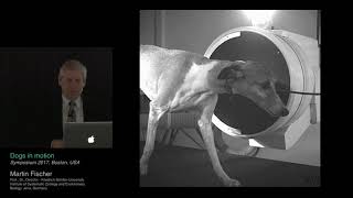 DOGS IN MOTION, Prof. Dr. Martin S. Fischer, KYON Symposium 2017