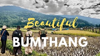 BHUTAN & INDIA TOUR 2024 DAY 6 ( First Tibetan American group from San Francisco) #tibetanvlogger